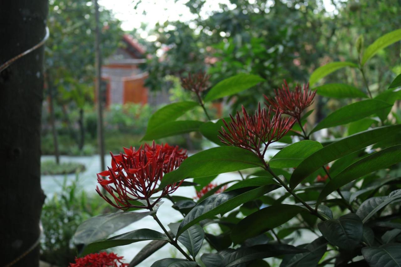 Tam Coc Thanh Dat Homestay Ніньбінь Екстер'єр фото