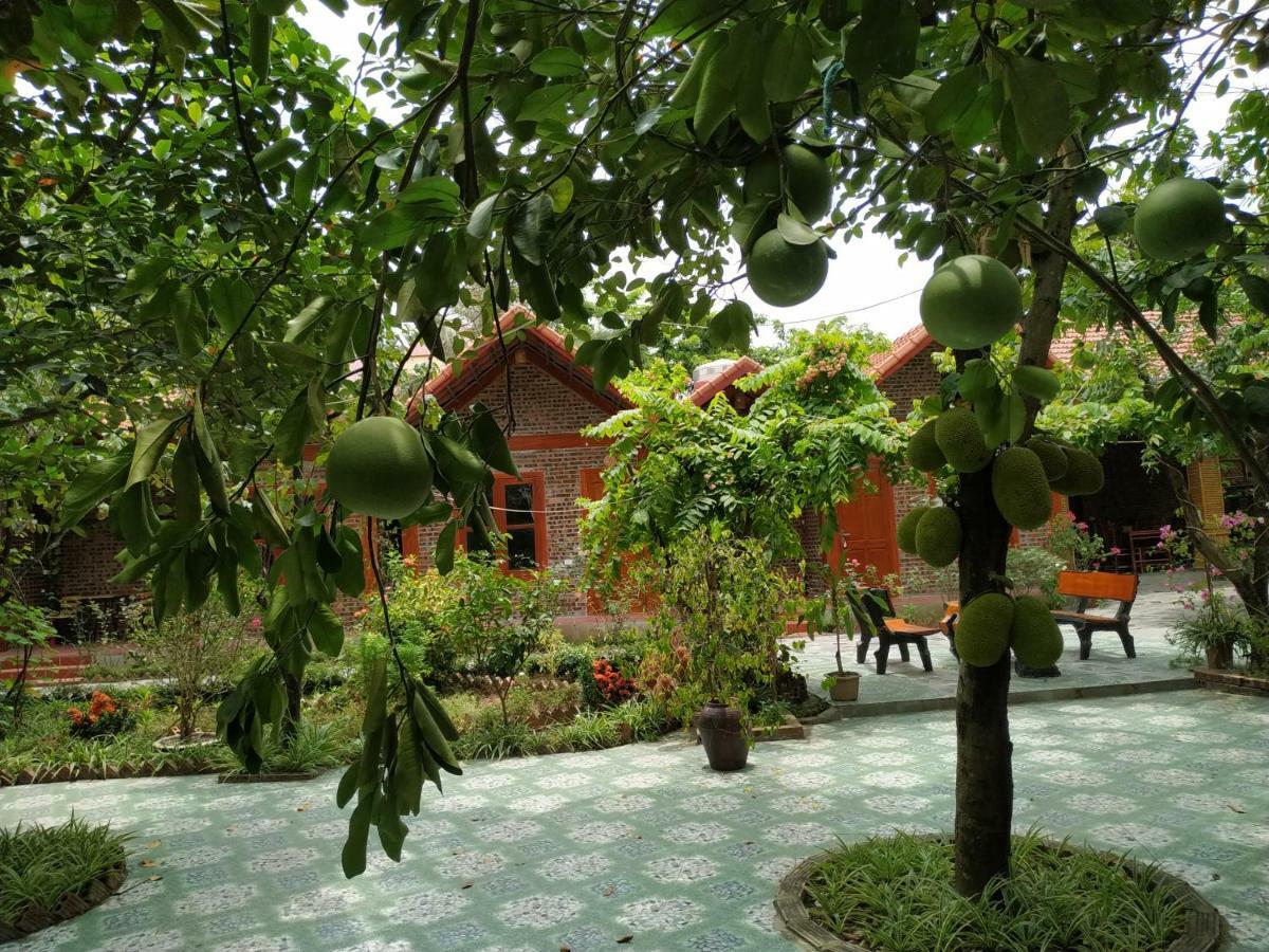 Tam Coc Thanh Dat Homestay Ніньбінь Екстер'єр фото