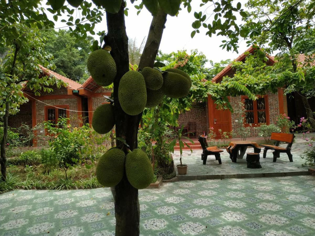 Tam Coc Thanh Dat Homestay Ніньбінь Екстер'єр фото